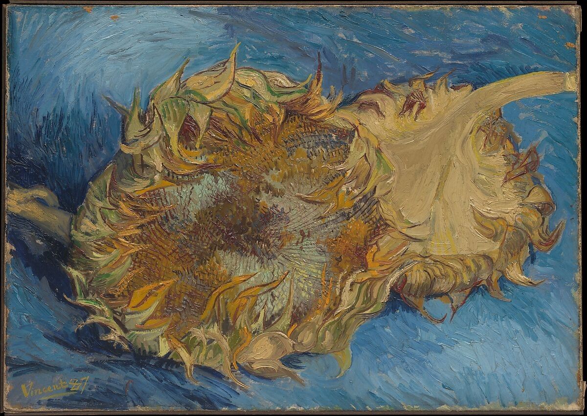 Matthew Wilson - World Art in 5 Symbols Sunflowers 25.3.25.jpg